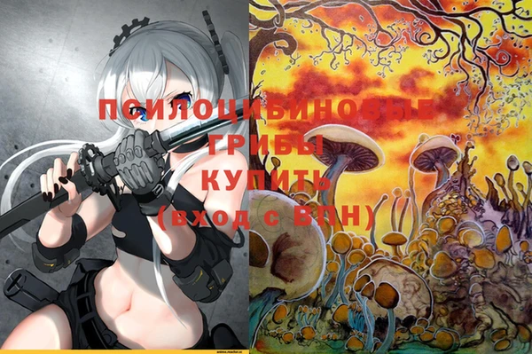 дмт Магас