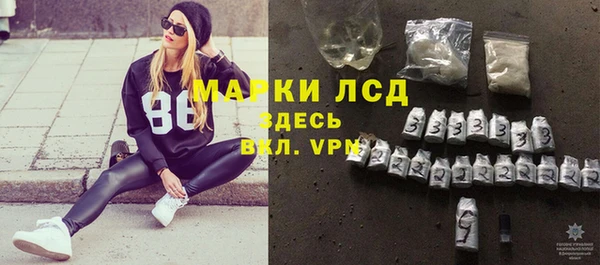дмт Магас