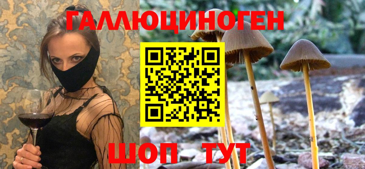 Галлюциногенные грибы прущие грибы  Вход с VPN  Мирный 